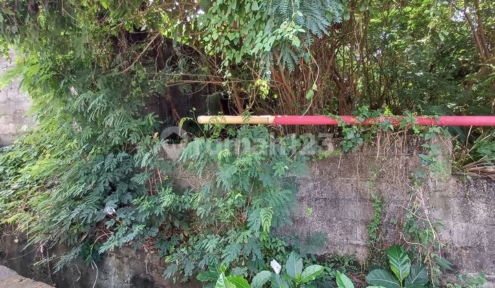 Dijual Tanah 5 Are Shm Di Kertalangu Denpasar Cn/gp Dijual Tanah 5 Are Shm Di Kertalangu Denpasar Cn/gp