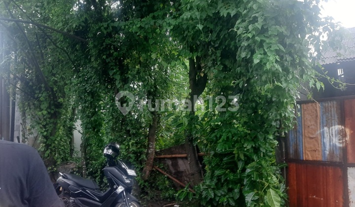 Tanah 159.0 M² Shm Di Dewata Cargo Denpasar Jl Tanah 159.0 M² Shm Di Dewata Cargo Denpasar Jl