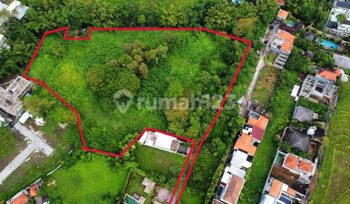 For Sale 1.5 Hectare Freehold Land River Front in Canggu CN/GP For Sale 1.5 Hectare Freehold Land River Front in Canggu CN/GP