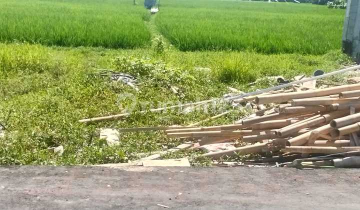 Super Langka Tanah 70.0 M² Shm Di Denpasar Barat Jl