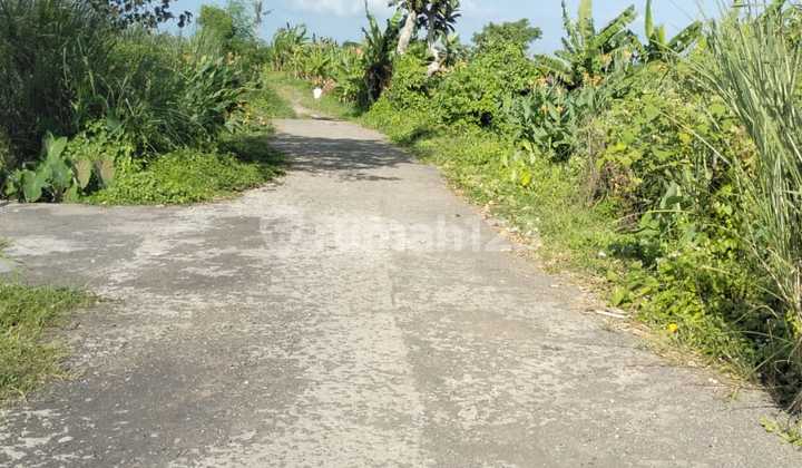 Dijual Tanah Ada 3 Plot Dekat Pantai Kedungu Tabanan Ls