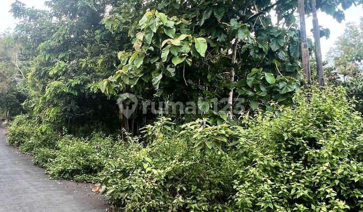 Tanah 1000.0 M² Shm Di Puri Gading Jimbaran Ls/rc