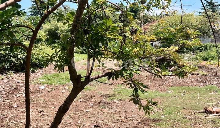 Land 2170.0 M² SHM Near Melasti Beach Ls/rc