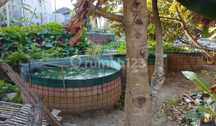 Tanah 250.0 M² Shm Di Denpasar Utara Gp Tanah 250.0 M² Shm Di Denpasar Utara Gp