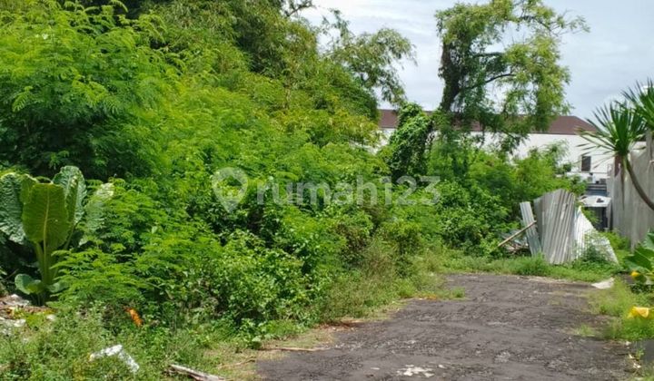Tanah 490.0 M² Shm Di Jimbaran Gp Tanah 490.0 M² Shm Di Jimbaran Gp