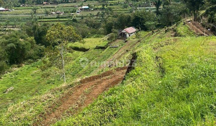 Dijual Tanah 226 Are View Bukit Dekat Bedugul Cn