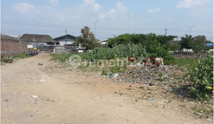 Tanah Tempat Strategis 2443 m2 Genuk, Semarang 2
