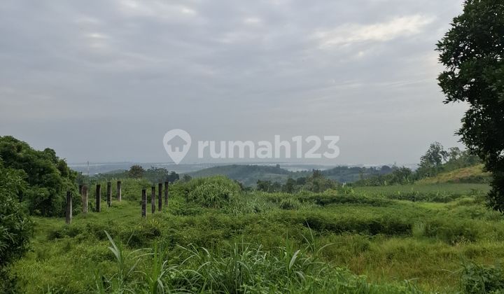 Wide Land in Ngaliyan 2 hectares, 1.3 million per meter Semarang Negotiable 2