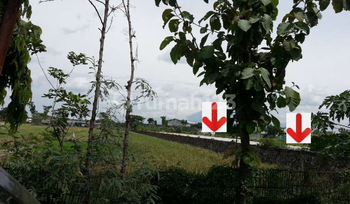 Strategic 2 Hectare Land in Solo Sragen, Negotiable Strategic 2 Hectare Land in Solo Sragen, Negotiable