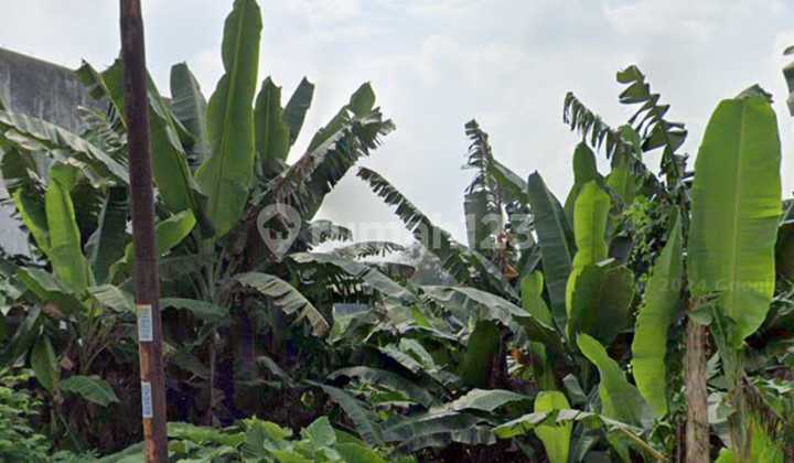 Dijual Murah Tanah di Tangerang Selatan Luas 2.9Ha