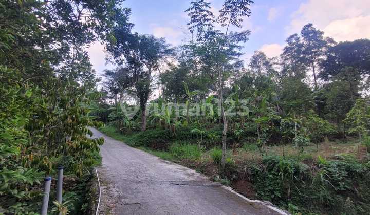 Tanah Lokasi Strategis Harga Murah Di Pargersari Bergas Semarang  2
