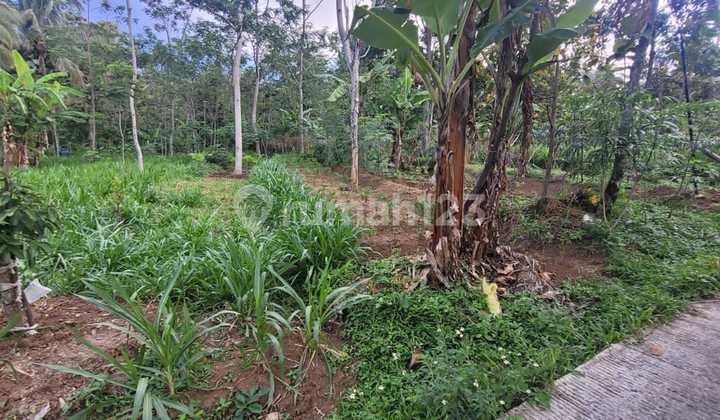 Tanah Lokasi Strategis Harga Murah Di Pargersari Bergas Semarang  1