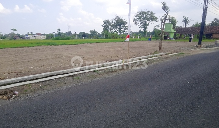 Tanah Strategis Sleman, Cocok Untuk Rumah di Kalasan Mangku Jalan Aspal