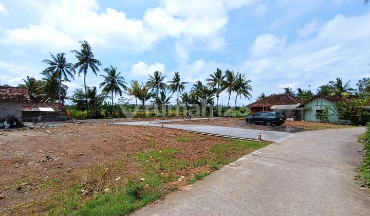 Tanah Dekat Jl. KH Ahmad Dahla, Kulon Progo, Siap Bangun SHM	 1