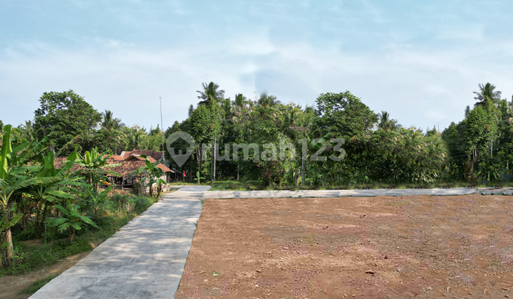 Land 145 m2 SHM Near New Jogja-Wates Toll Exit Land 145 m2 SHM Near New Jogja-Wates Toll Exit
