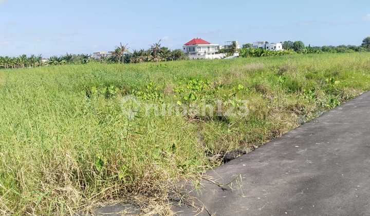 Tanah Jual Lokasi Kedungu Tanah Jual Lokasi Kedungu