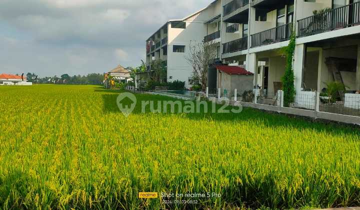 Tanah Jual Lokasi Kedungu Tanah Jual Lokasi Kedungu