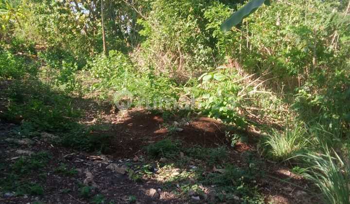 Tanah Jual Lokasi Jimbaran Tanah Jual Lokasi Jimbaran