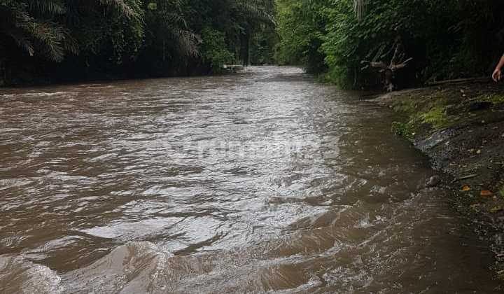 Land for Sale in Sayan Location