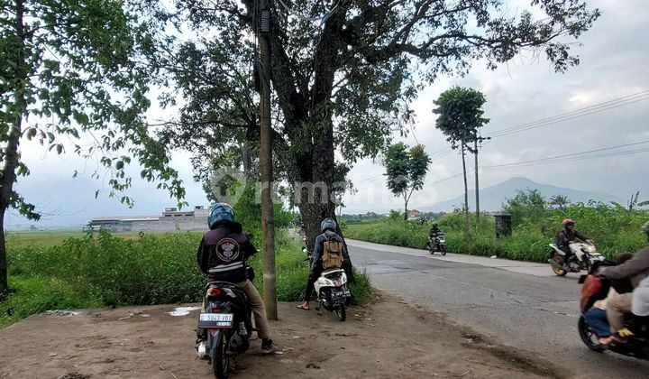 Tanah Murah Di Kawasan Industri Rancaekek Bandung 2