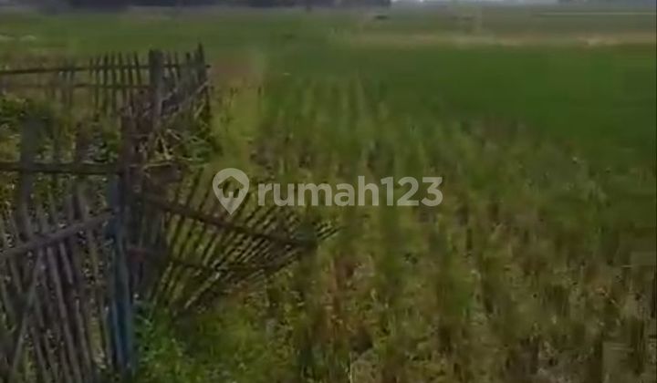 Dijual Tanah Di Jalan Provinsi Cicalengka Majalaya