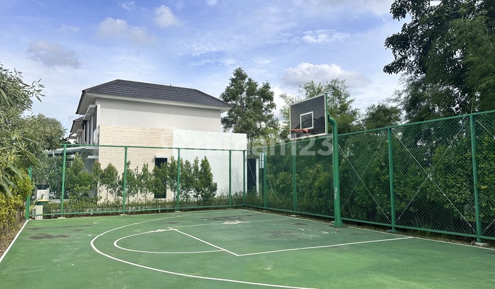 Luxury House for Sale at a Low Price 2