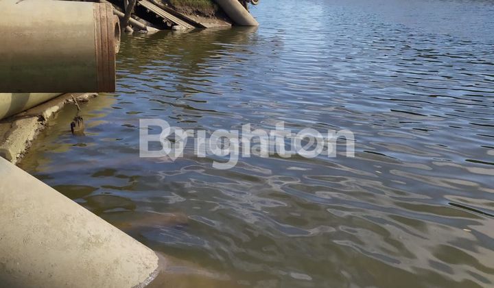 Pelabuhan Simanjuntak Kariangau