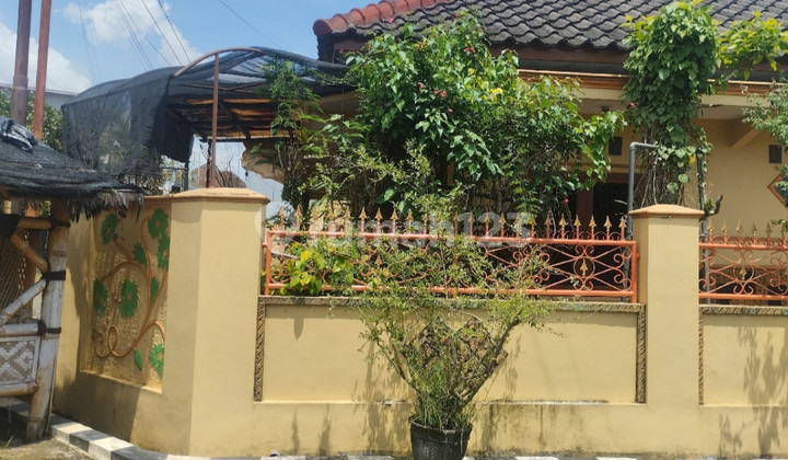 Rumah Bagus di Borobudur (Lowokwaru ) Malang