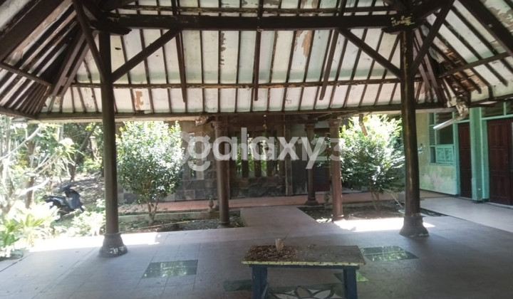 House With Large Land in Sentul, Purwodadi, Pasuruan Regency, East Java GMK03620 2