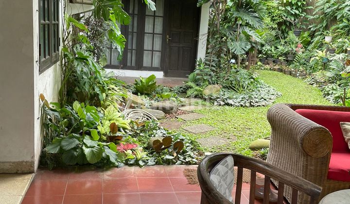 Spacious and Serene House in Pulomas 2