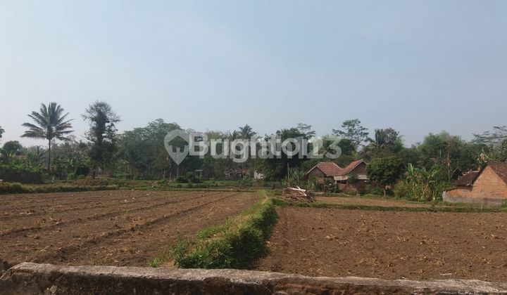 Tanah Datar Luas 1.491 m2 di Pinggir Jalan Besar di Desa Kedungboto, Kedungrejo Kabupaten Malang.