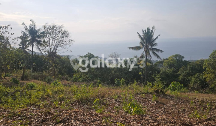 Dijual Tanah 20 are di Lovina, Buleleng 1
