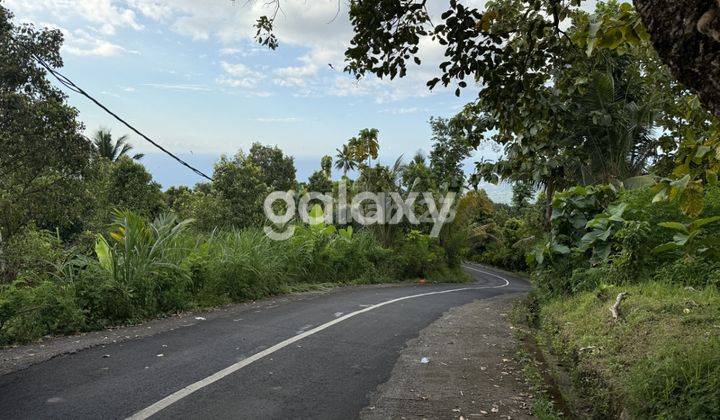 DIJUAL TANAH MURAH 4 ARE DI LOVINA 2