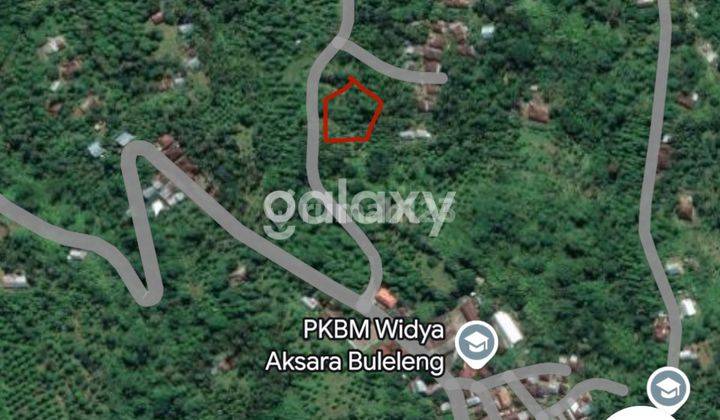 DIJUAL TANAH MURAH 4 ARE DI LOVINA 1