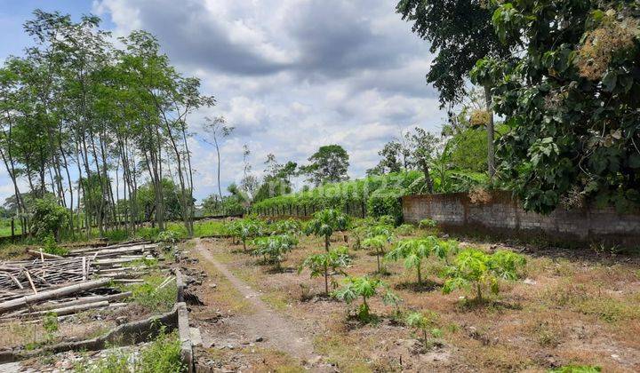 Tanah Strategis Akses Mudah di Ds. Gunung Ampo, Kemudo, Prambanan, Klaten 1