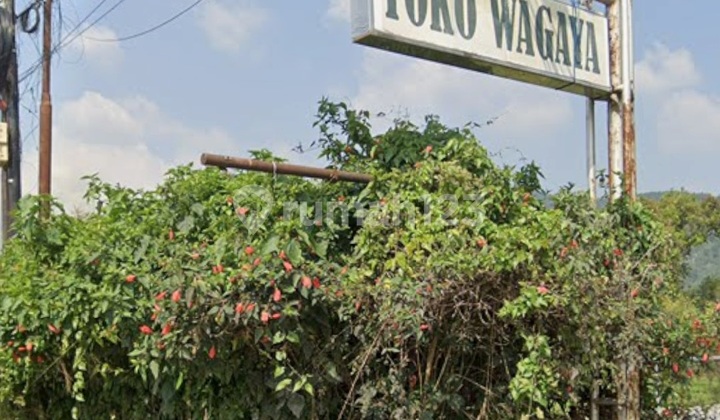 Land Mature 12.77 Ha Shm Maribaya Lembang Bandung