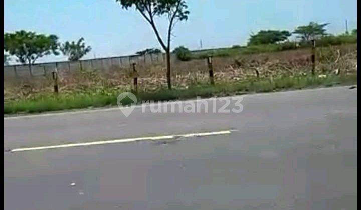 Tanah Nasional Mrutuk Utara Widang Tuban Murah.ron.a2092