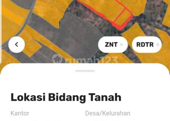 dijual kavling bali, antosari, Selemadeg Barat- cocok bangun Villa