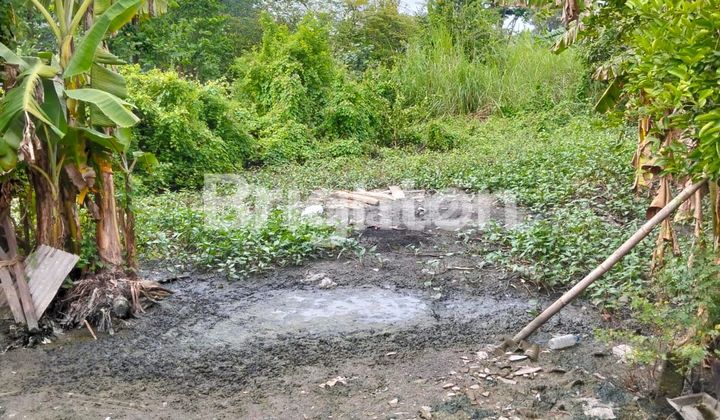 TANAH TAMBAK WATU GOLONG