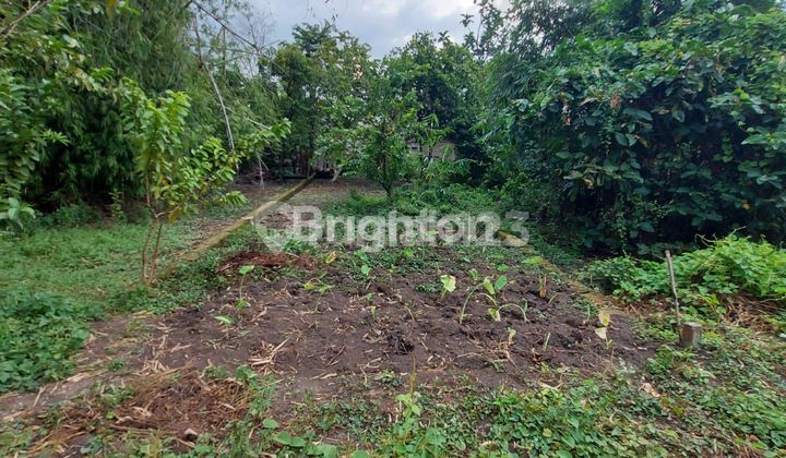 TANAH DI WATU GOLONG BUTUH CEPAT LAKU COCOK UNTUK TEMPAT TINGGAL  2