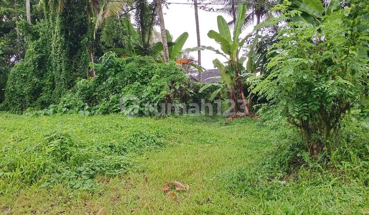 Garden Land for Sale. Suitable for Villa. Garden Land for Sale. Suitable for Villa.
