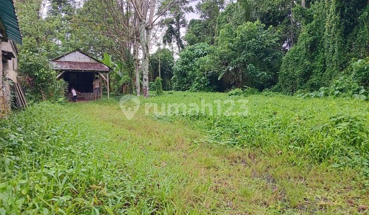 Garden Land for Sale. Suitable for Villa. Garden Land for Sale. Suitable for Villa.