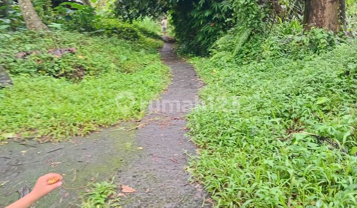 Beautiful, Strategic, and Comfortable Garden Land Beautiful, Strategic, and Comfortable Garden Land