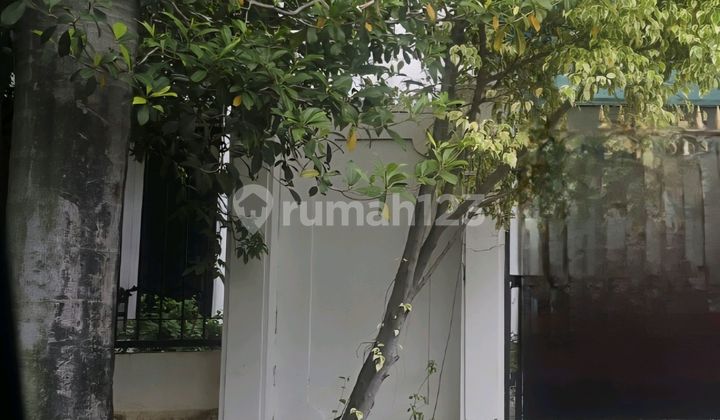 Jual Sesuai Njop Rumah 325m2 Hitung Tanah Ancol Timur  2