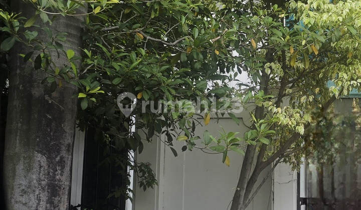 Jual Sesuai Njop Rumah 325m2 Hitung Tanah Ancol Timur Jual Sesuai Njop Rumah 325m2 Hitung Tanah Ancol Timur