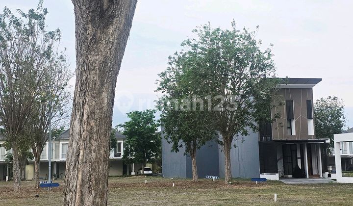 Kavling Tanah Gandeng bisa Beli Satu Canberra Grand Pakuwon Margomulyo Gresik Surabaya