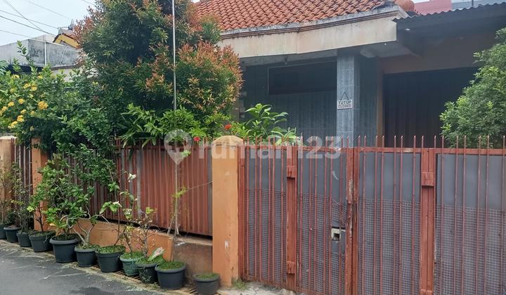 Rumah Pusat Kota Semarang Jalan Pekunden Tengah 1
