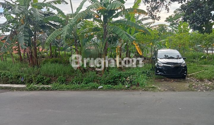 TANAH DENGAN VIEW GUNUNG SALAK