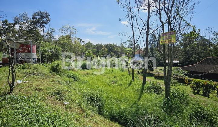 TANAH KOSONG KOPENG TANAH KOSONG KOPENG