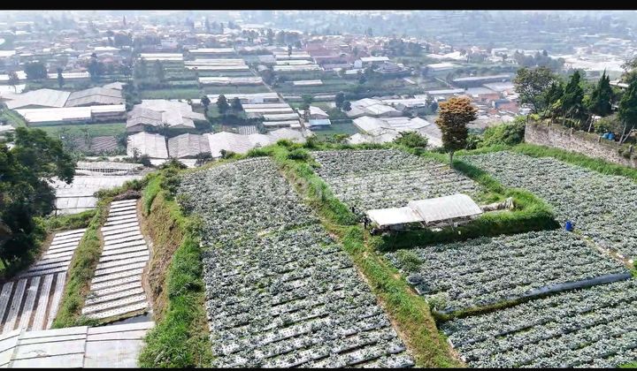 Land for Sale in Lembang - Bandung, 2.2 Hectares